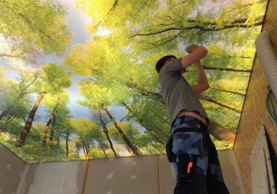 Plafond tendu - Forêt Plafond tendu - Forêt